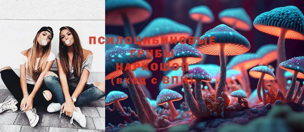 соль ск Вязьма