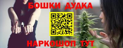 spice Камышлов