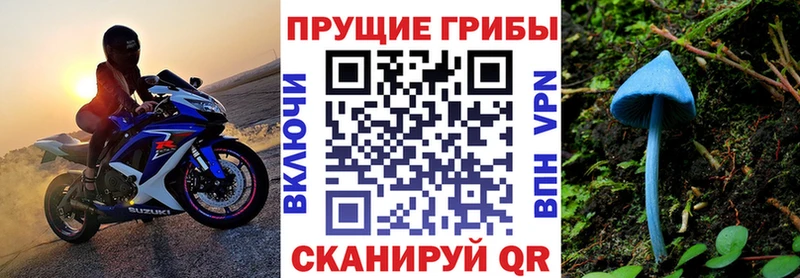 цена   Губкин  OMG   Галлюциногенные грибы ЛСД 