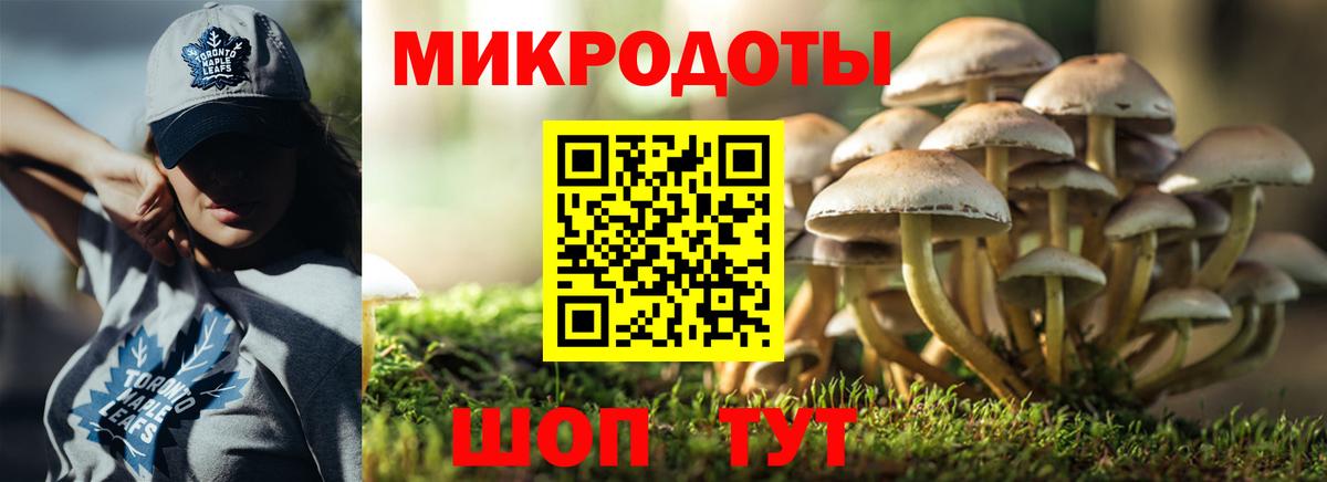 Губкин  Галлюциногенные грибы мицелий  Вход с VPN 