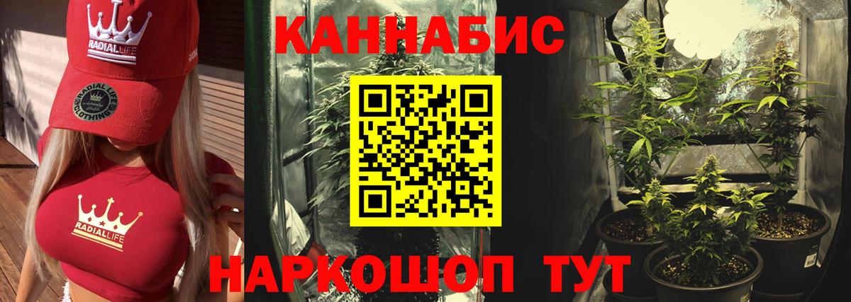 Конопля гибрид  Вход с VPN  Бошки Шишки VHQ  Губкин  Бошки марихуана тримм 